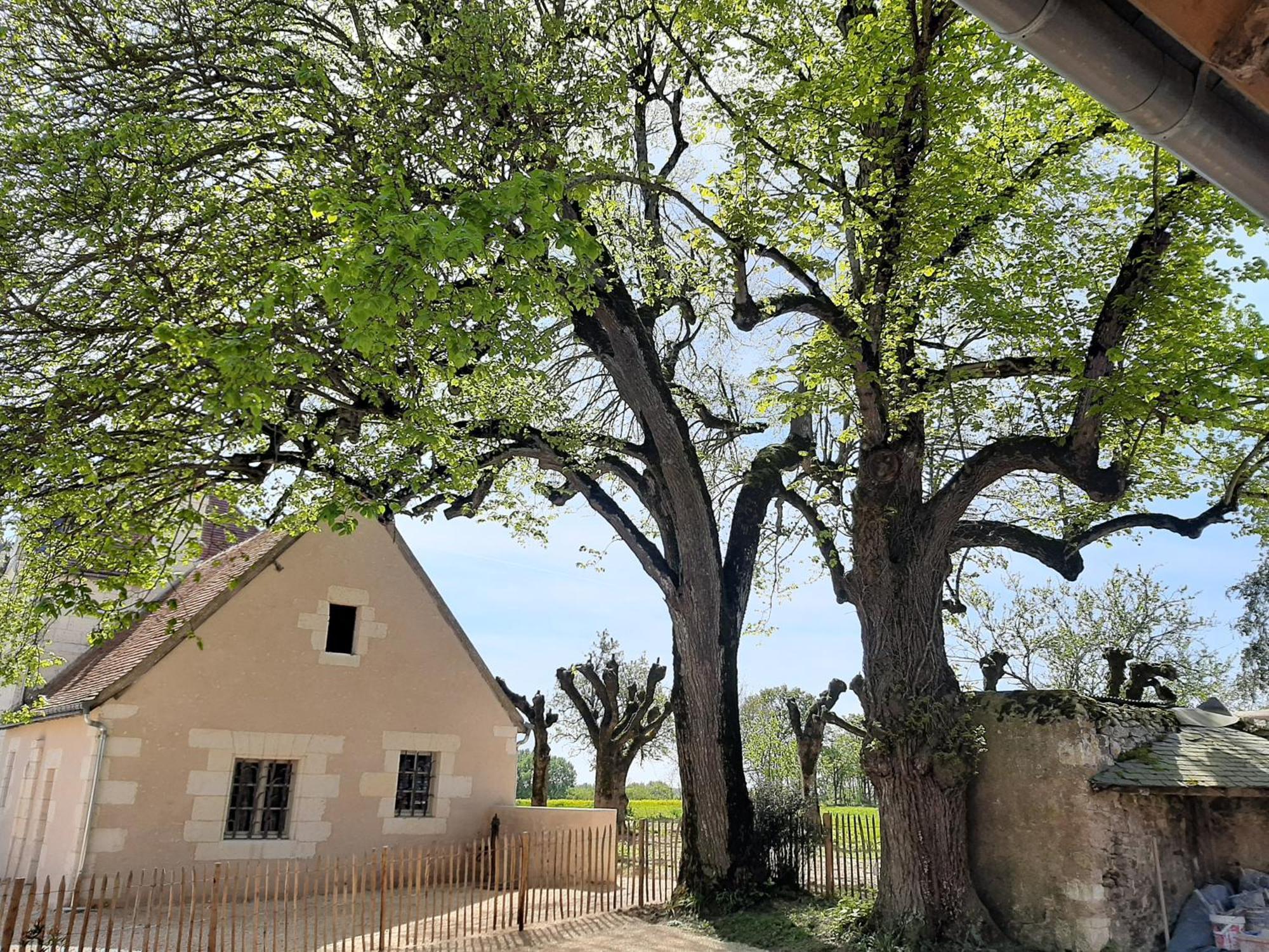 Le Puits Renaissance - Gites De Caractere Et Piscine Chauffee Chambourg-sur-Indre Kültér fotó